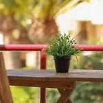 Luxury Cayetana, By Comfortable Luxury